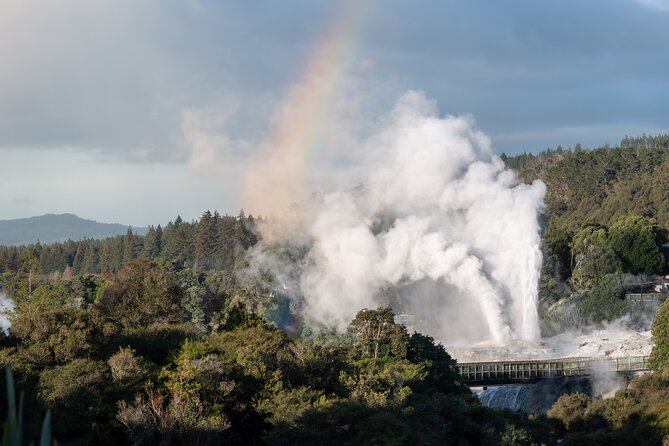 Rotorua Highlights Tour inc. Te Puia Tour, Lunch & Cultural Show - Hangi lunch, with a practical caveat