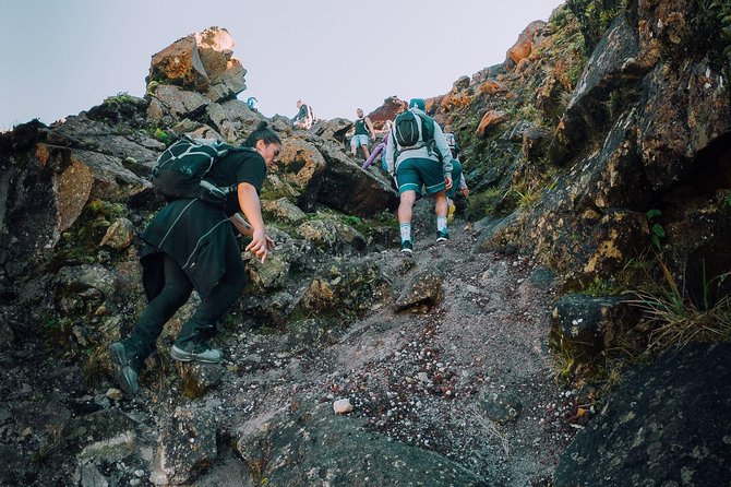 Rotorua Hiking: Mt Tarawera Guided Volcanic Crater Experience - From Rotorua pickup to the bush roads