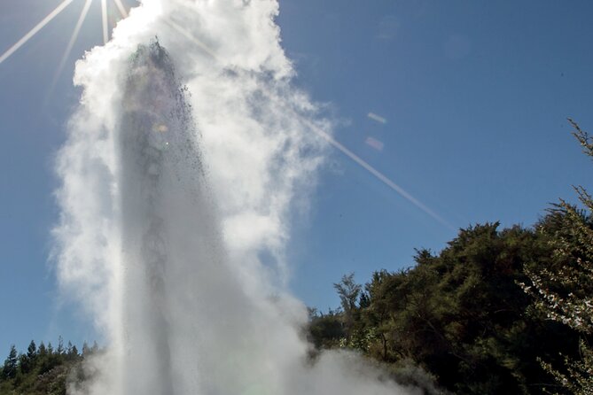 Rotorua Māori Village and Activity Combinations from Auckland - Whakarewarewa Living Māori Village