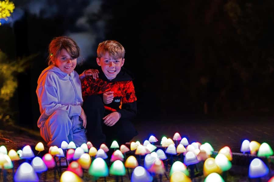 Rotorua: Marama Geyser Light Trail & Geothermal Experience - Is the $29 price good value?