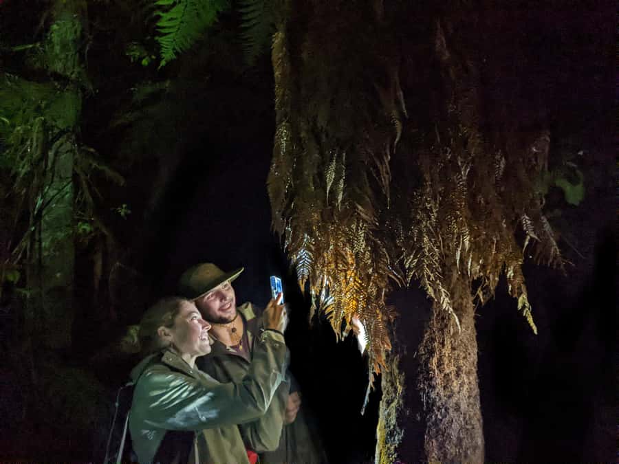 Rotorua: Nocturnal Glow-Worm Adventure Tour with a Guide - Key points before you book