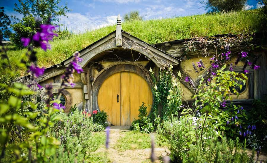 Rotorua: One-Way Trip to Auckland via Hobbiton & Waitomo - A smart way to travel from Rotorua to Auckland