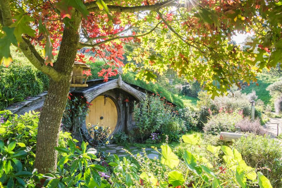 Rotorua: One-Way Trip to Auckland via Hobbiton & Waitomo - Getting into Auckland after a full day