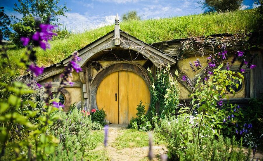 Rotorua: One-Way Trip to Auckland via Hobbiton & Waitomo - Practical advice for a smoother day