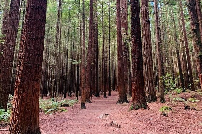 Rotorua Private tour with Hotspring - Government Gardens, bathhouses, and Māori history