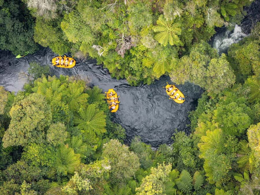 Rotorua Rafting: Kaituna River Rafting Experience-Free Sauna - Why the Kaituna River makes a strong Rotorua day trip