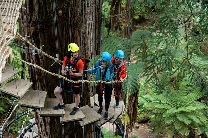 Rotorua: Redwoods Altitude High Ropes Adventure - What the $89.98 price includes