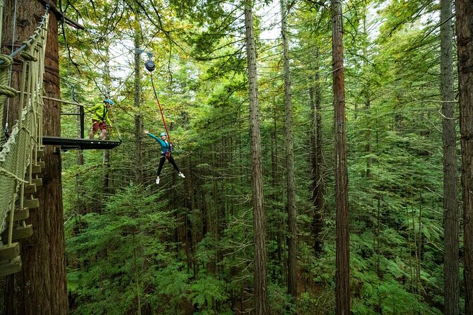 Rotorua: Redwoods Altitude High Ropes Adventure - How the group pace affects your day