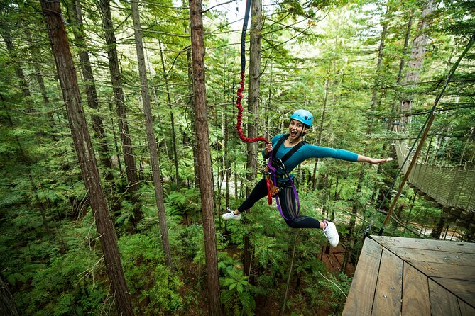 Rotorua: Redwoods Altitude High Ropes Adventure - How the two-hour course unfolds