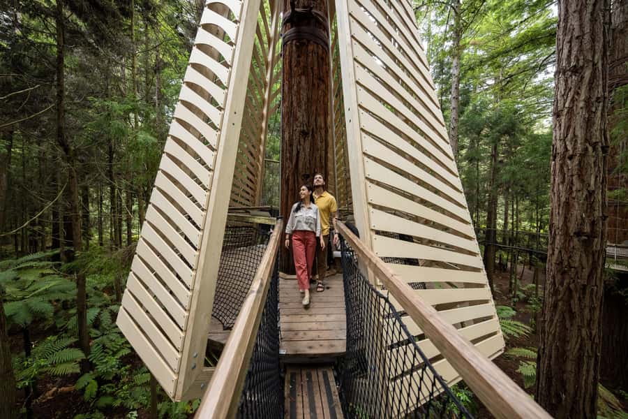 Rotorua: Redwoods Altitude, Nighttime Fast Pass, & Treewalk - Key points to know before you book