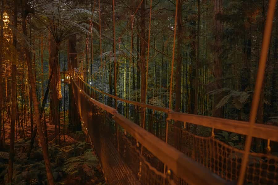 Rotorua: Redwoods Altitude, Nighttime Fast Pass, & Treewalk - What to wear and what to leave behind