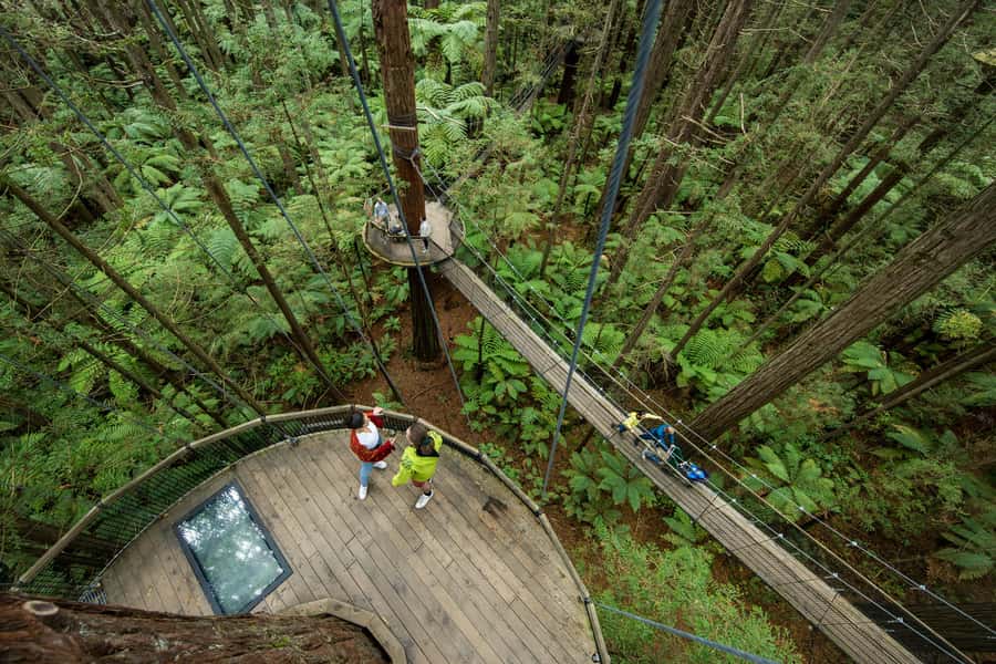 Rotorua: Redwoods Altitude, Nighttime Fast Pass, & Treewalk - Twenty-five bridges above the forest floor