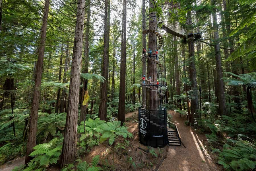 Rotorua: Redwoods Altitude, Nighttime Fast Pass, & Treewalk - Is $118 good value?