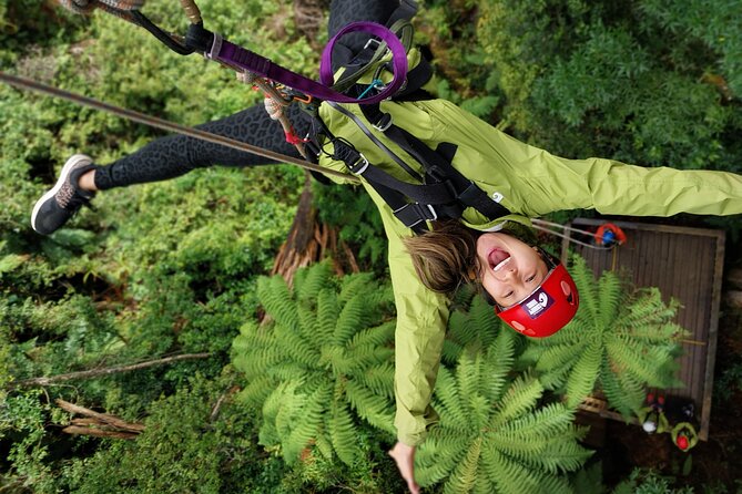 Rotorua’s Ultimate Zipline: 6 ziplines, 400 m Tandem, Cliff Walk - Key points before you book