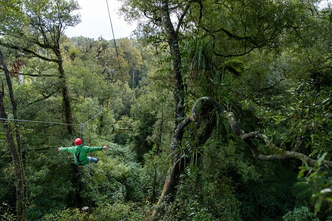 Rotorua’s Ultimate Zipline: 6 ziplines, 400 m Tandem, Cliff Walk - Who should book this Rotorua adventure?