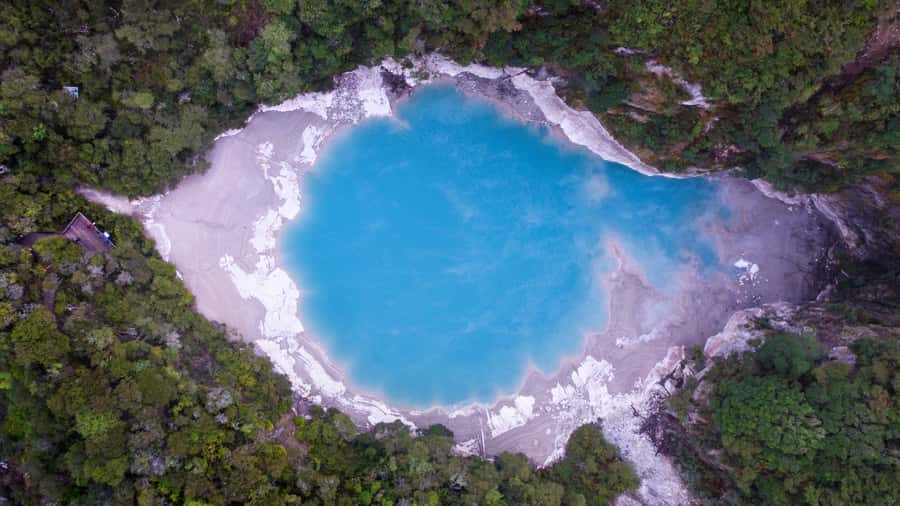 Rotorua: Scenic Flight over Mt Tarawera & Waimangu Valley - Waimangu Valley, Inferno Crater, and Frying Pan Lake