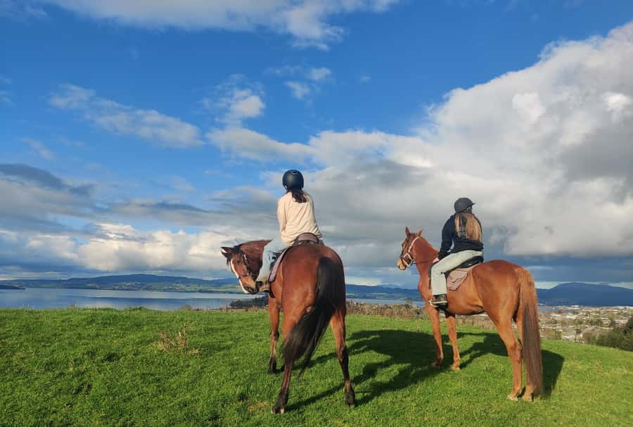 Rotorua: Scenic Horse Trek - Key points to know before you saddle up