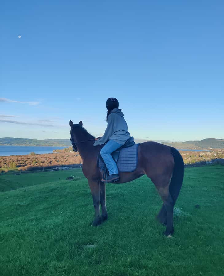 Rotorua: Scenic Horse Trek - A quiet route above Lake Rotorua