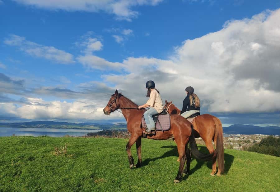 Rotorua: Scenic Horse Trek - What the one-hour trek feels like