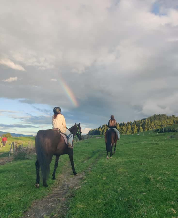 Rotorua: Scenic Horse Trek - Meeting your horse at Adventure Playground