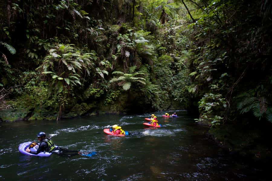 Rotorua Sledging: Kaituna White Water River Board Experience - Key points to know before booking