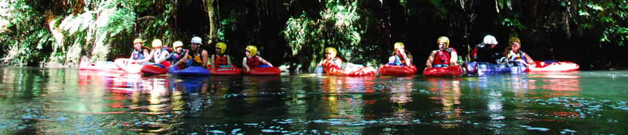 Rotorua Sledging: Kaituna White Water River Board Experience - One hour at water level on the Kaituna