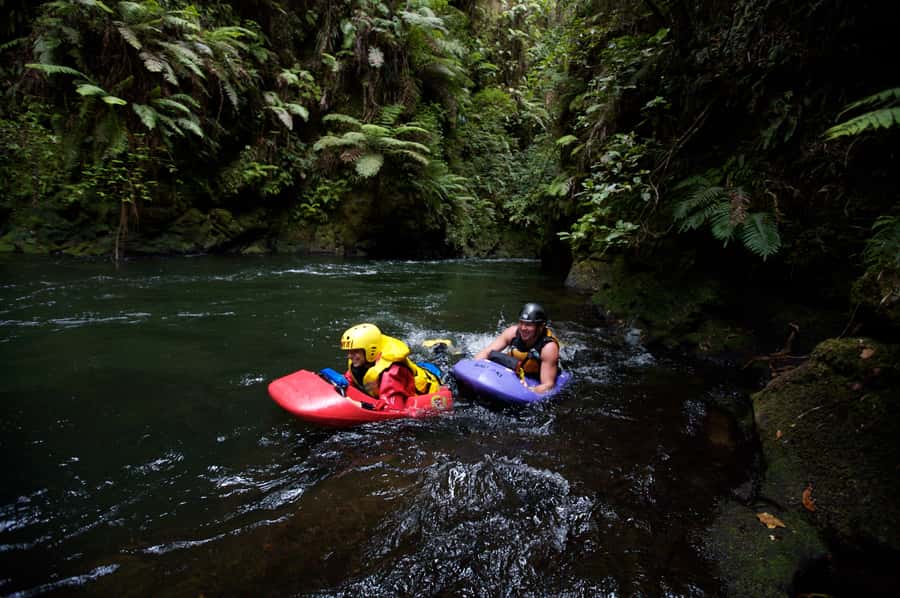 Rotorua Sledging: Kaituna White Water River Board Experience - From Rotorua pickup to the Kaituna River