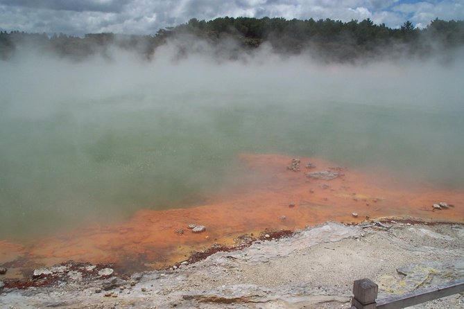 Rotorua Small-Group Day Tour from Auckland - Why Te Puia makes the long drive worthwhile