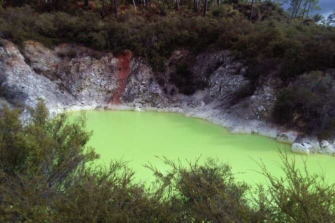 Rotorua Small-Group Day Tour from Auckland - Choosing your afternoon add-on