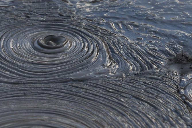 Rotorua Small-Group Day Tour from Auckland - Māori arts at Te Puia