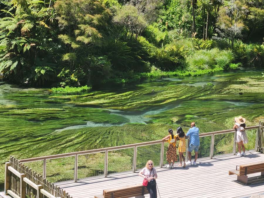 Rotorua & Taupo DayTour Waiotapu & Huka Falls from Auckland - Taupo brings open water and a slower pause