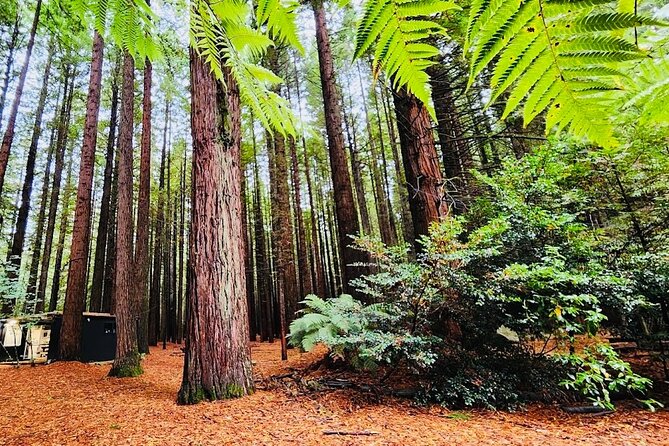 Rotorua & Taupo DayTour with Waiotapu & Huka Falls from Auckland - One long North Island day from Auckland