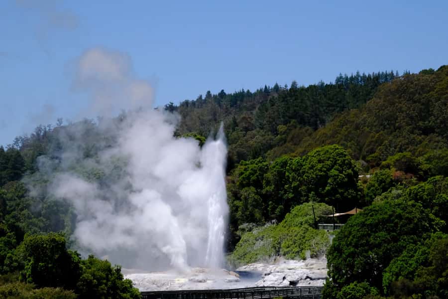 Rotorua: Te Puia Maori Village and Rejuvenation Tour - From Tauranga to Rotorua in a Mercedes