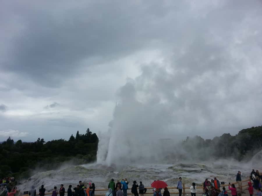 Rotorua: Te Puia Maori Village and Rejuvenation Tour - What the private format is really worth