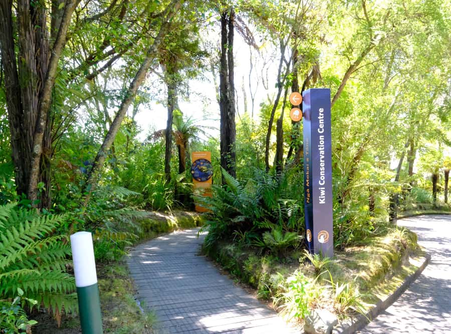 Rotorua: Te Puia Maori Village and Rejuvenation Tour - Comfort details that make a difference