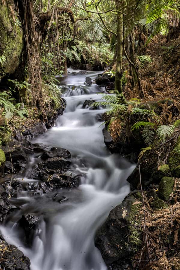 Rotorua: The Buried Village of Te Wairoa - Why Te Wairoa matters beyond the ruins