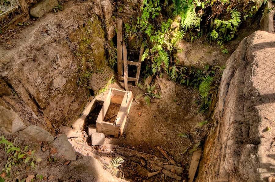 Rotorua: The Buried Village of Te Wairoa - Walk through the buried settlement