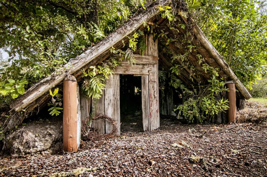 Rotorua: The Buried Village of Te Wairoa - Small details that make the visit better