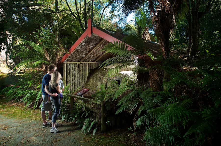 Rotorua: The Buried Village of Te Wairoa - Start inside the Museum of Te Wairoa