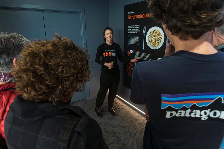 Rotorua: The National Kiwi Hatchery Kiwi Encounter Tour - Why this Rotorua kiwi experience matters
