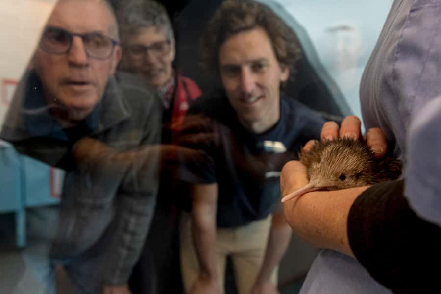 Rotorua: The National Kiwi Hatchery Kiwi Encounter Tour - Who will enjoy this most?