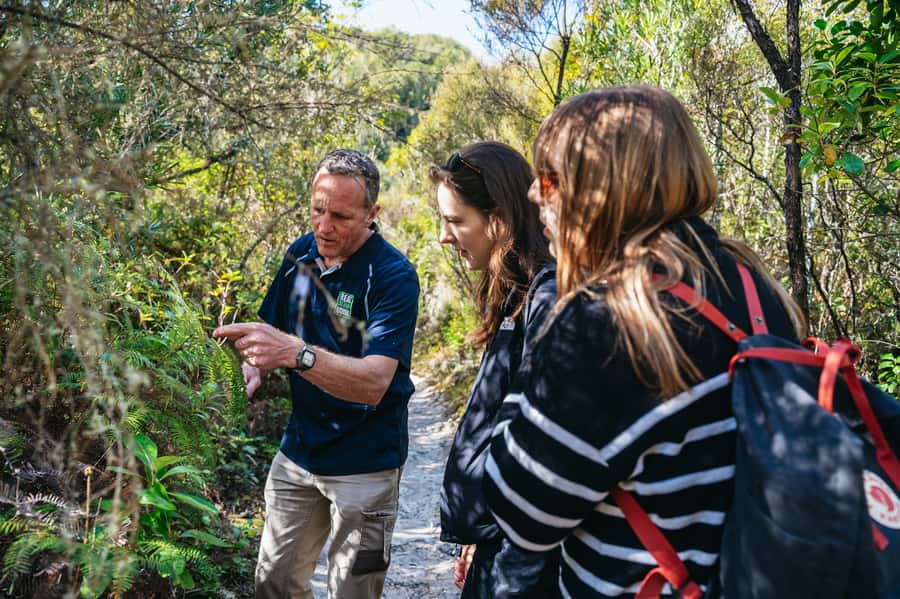 Rotorua: 'Thermal Path Tour' Geothermal half day Tour - Who should book this Rotorua experience?