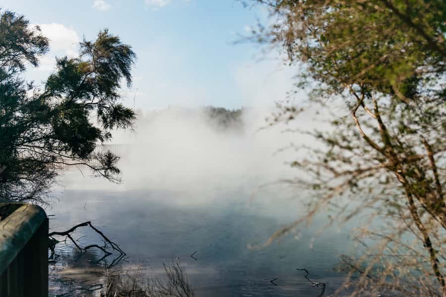 Rotorua: 'Thermal Path Tour' Geothermal half day Tour - How demanding is the walking?
