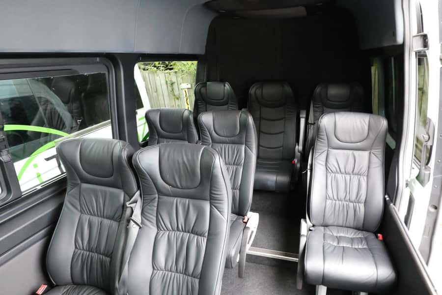 Rotorua to Auckland - Afternoon Transfer with Waitomo Caves - Key points to know before booking