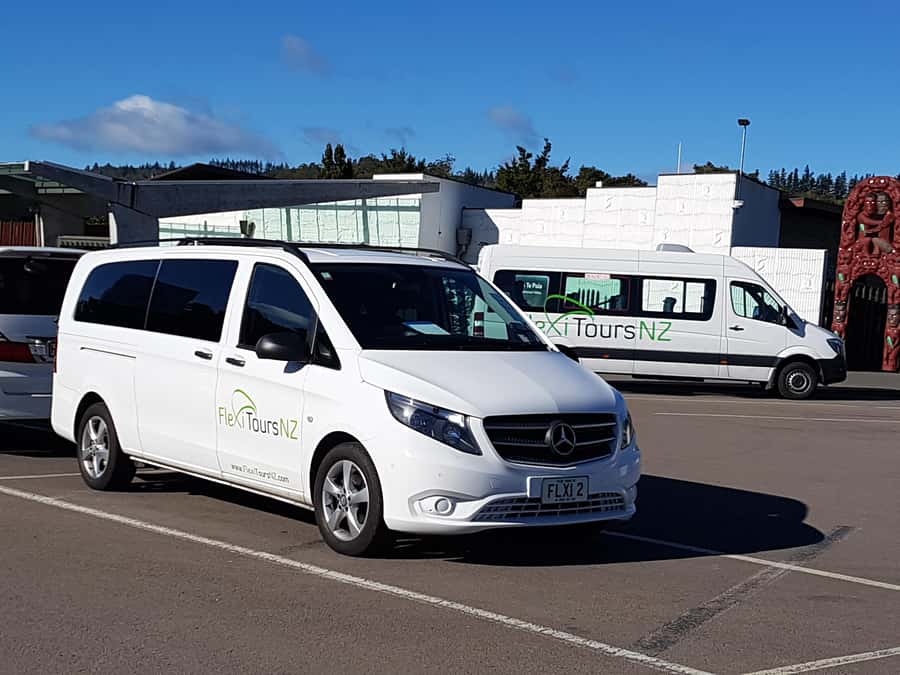 Rotorua to Auckland - Afternoon Transfer with Waitomo Caves - Why this Rotorua to Auckland transfer makes sense