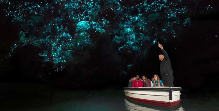 Rotorua to Auckland - Afternoon Transfer with Waitomo Caves - The ride to Waitomo and what to eat first