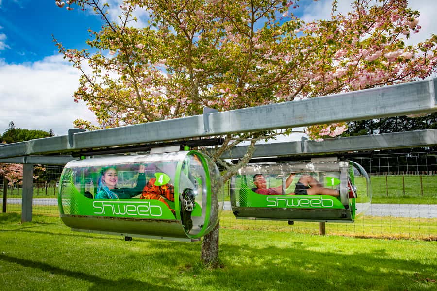 Rotorua: Velocity Valley - One Ride Pass - Key points at a glance