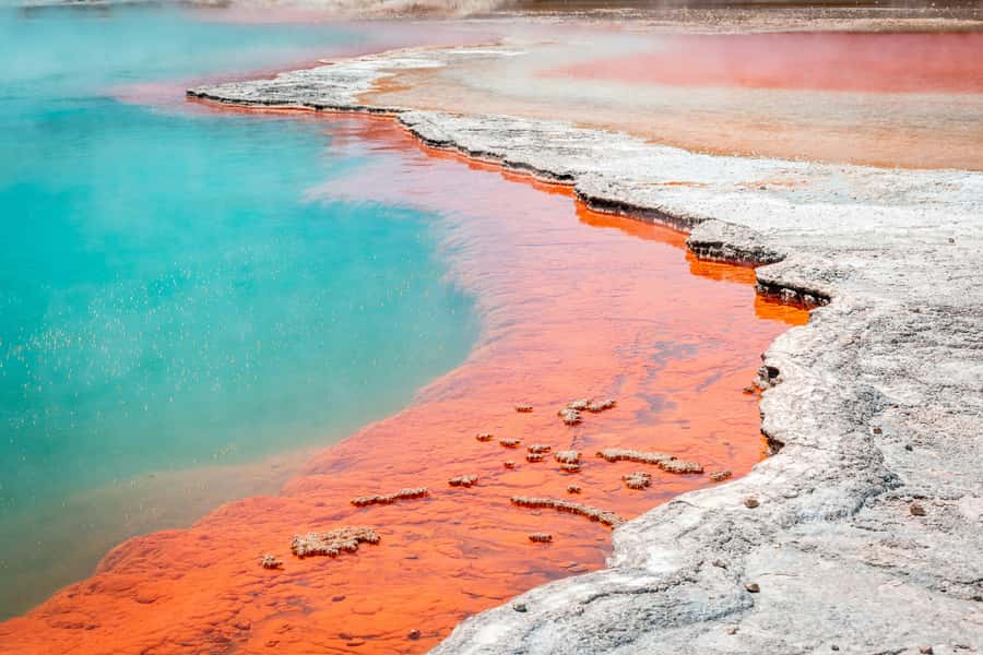 Rotorua: Wai-O-Tapu Geothermal Park Entry Ticket - Why Wai-O-Tapu feels unlike Rotorua’s other sights
