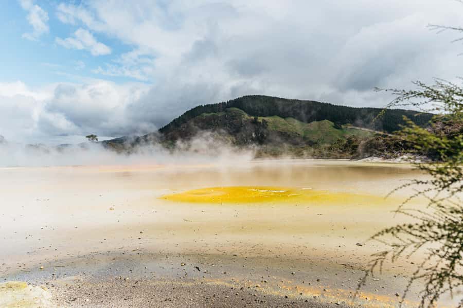 Rotorua: Wai-O-Tapu Geothermal Park Entry Ticket - Native bush adds welcome contrast