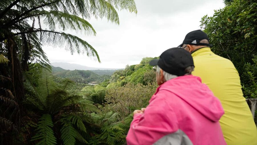 Rotorua: Waimangu Valley Walk and Steaming Cliffs Kayak Tour - My practical verdict on the itinerary